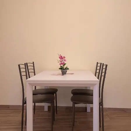 Camelia House Appartement *