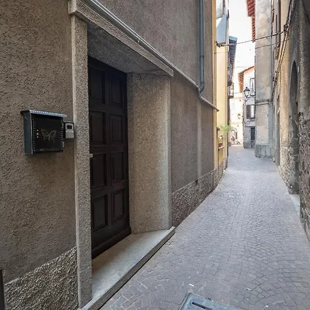 Appartement Camelia House
